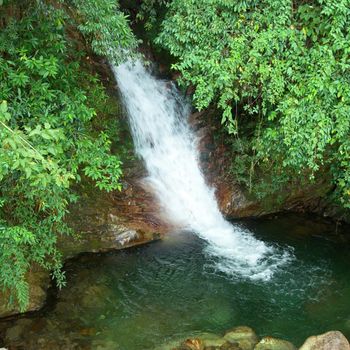 Waterfall in the forest surrounded by green trees