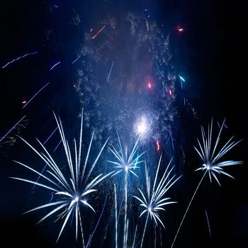 Blue colorful fireworks on the black sky background. Holiday celebration.