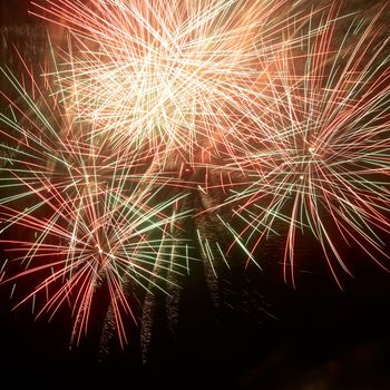 Colorful fireworks on the black sky background