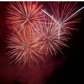 Red colorful fireworks on the black sky background. Holiday celebration.