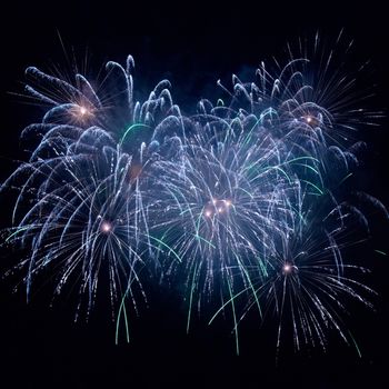 Colorful fireworks on the black sky background