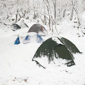 Winter tent camp in the snow forest