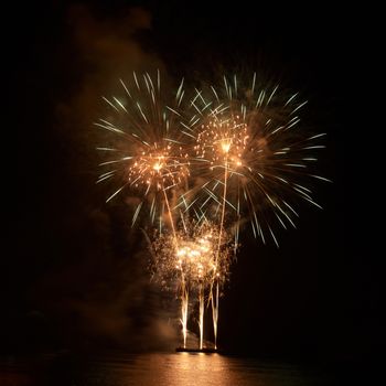 Colorful fireworks on the black sky background