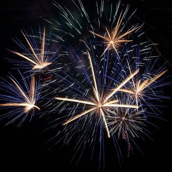 Colorful fireworks on the black sky background