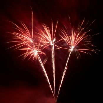 Colorful fireworks on the black sky background