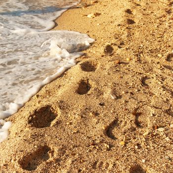 Footprints on the golden sandy tropical beach