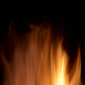 Abstract fire isolated on the black background