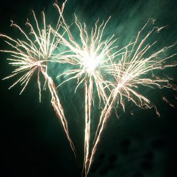 Colorful fireworks on the black sky background