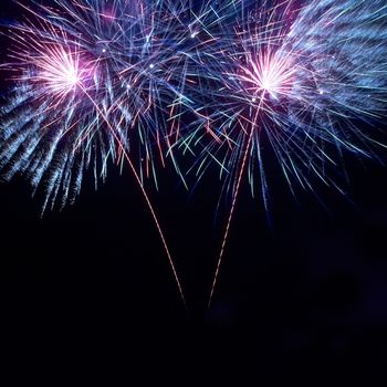 Colorful fireworks on the black sky background