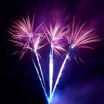 Colorful fireworks on the black sky background