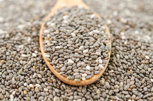 Chia seed in wooden spoon