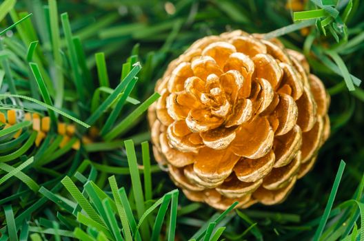 Beautiful color Christmas pine cone on green branches
