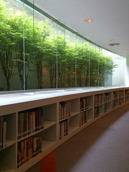 Library with green trees view
