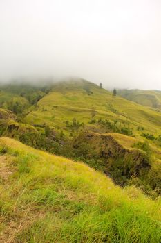 Landscape on mountain with grass and cloud