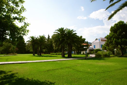 Fragment like  view of nice European summer park