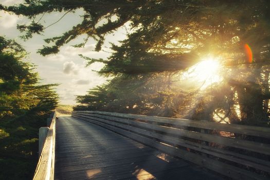 View of nice old wooden bridge on countryside back