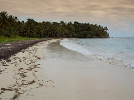 Tropica beach with cocononuts palm on a caribbean island