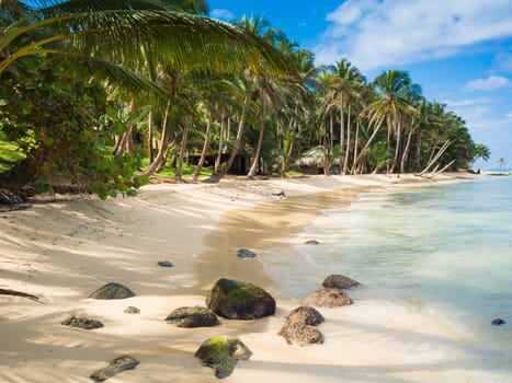 Tropica beach with cocononuts palm on a caribbean island