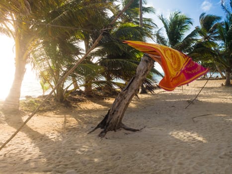 Amaca fluts on a tropical beach by seaside