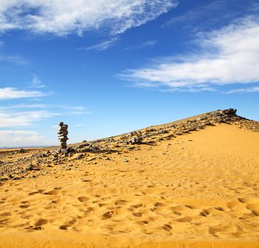  old fossil in  the desert of morocco sahara and rock  stone sky