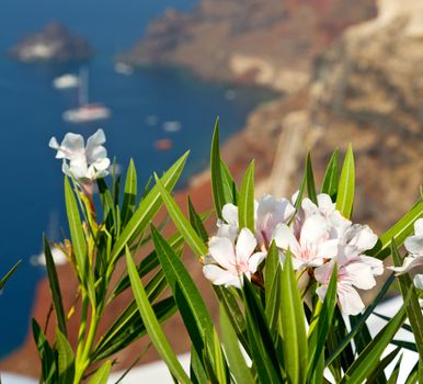 in    europe    vacation     cyclades santorini old town white and the sky