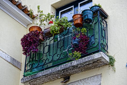 beautiful old windows
