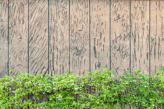 decorative stucco wood wall and green tree.