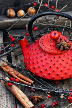 Red metal kettle,branches with berries on wooden background