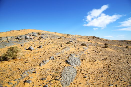  old fossil in  the desert of morocco sahara and rock  stone sky