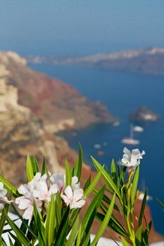 in    europe    vacation     cyclades santorini old town white and the sky