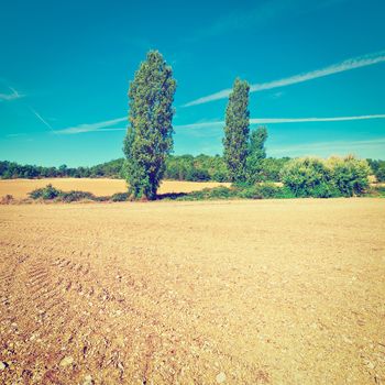 Plowed Sloping Fields of France in the Autumn, Instagram Effect