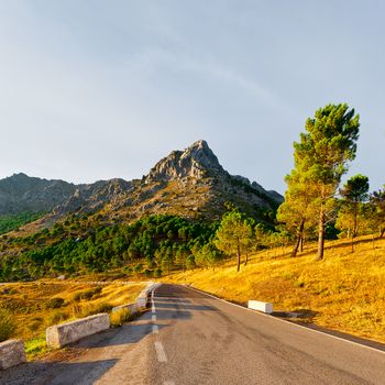 Winding Asphalt Road in the Cantabrian Mountains, Spain