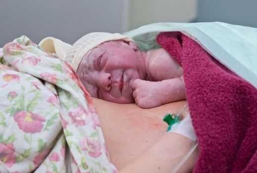 Newborn baby on mather belly in maternity hospital