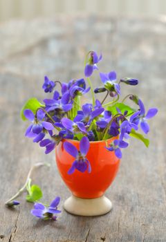 violets flowers (Viola odorata) on wood background