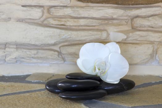 zen stones and orchid