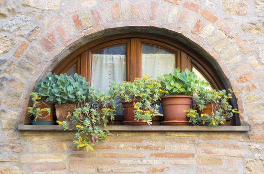 lovely tuscan window, Volterra, Italy