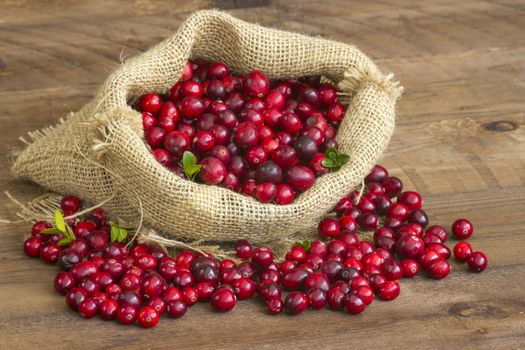 Cranberries in a bag on wooden background.