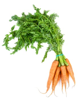 Bunch of carrots with leaves on white background