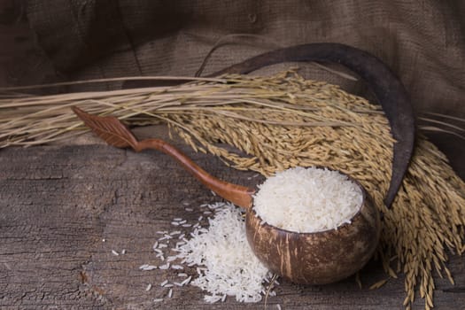 white rice in wood bowl and paddy rice on old wood background