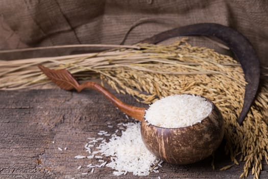 white rice in wood bowl and paddy rice on old wood background