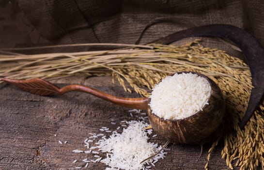 white rice in wood bowl and paddy rice on old wood background