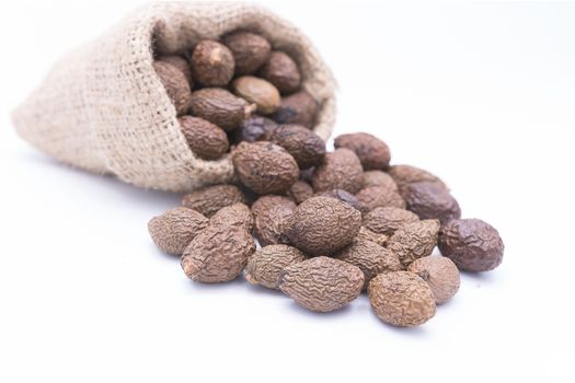 Sterculia lychnophora,Malva nut tree or Taiwan sweet gum tree in gunny bag on white background