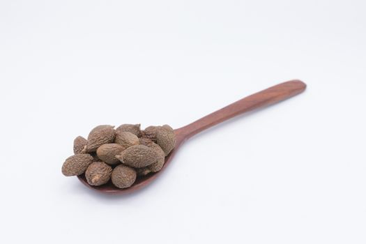 Sterculia lychnophora,Malva nut tree or Taiwan sweet gum tree in wooden spoon on white background