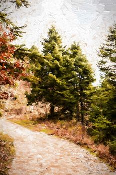 Forest road running through trees - painting