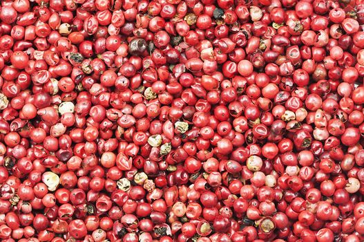 Red pepper texture. Background with red pepper seeds.