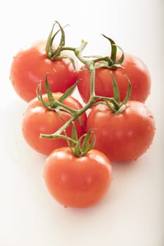 fresh tomato