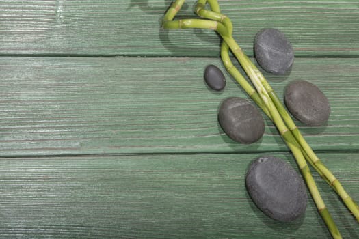 spa bamboo on green wooden background