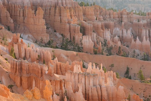 bryce canyon hoodoo at sunrise