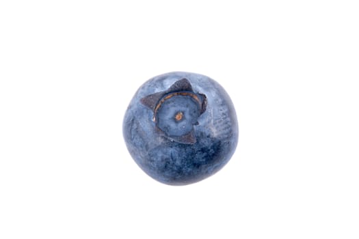 One blueberry isolated on white background