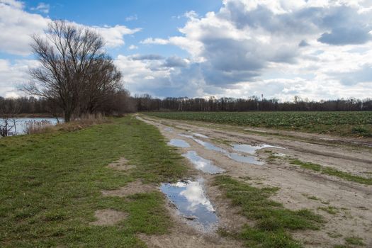 Late winter period. Grass and field again green, trees still without leaves. Puddles after the night rain reflecting cloudy sky.